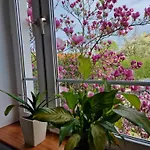 Apartament Magnolia