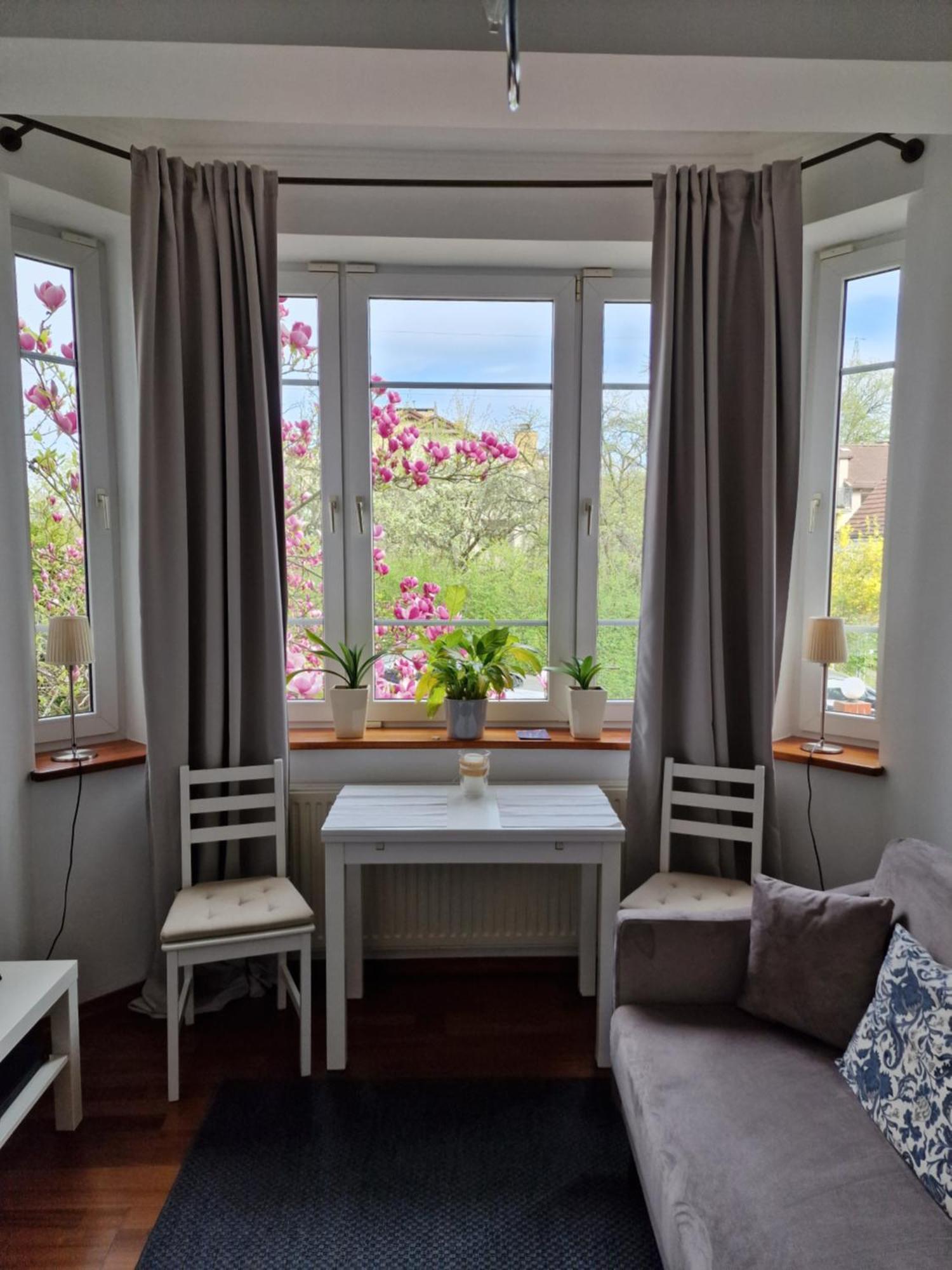 Magnolia * Sopot